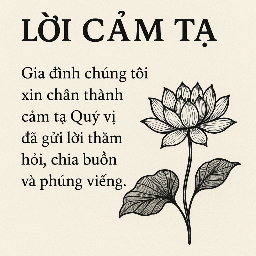 loi cam ta sau dam tang tren facebook
