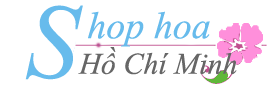 Shop Hoa Tươi Đẹp | Dịch Vụ Điện Hoa
