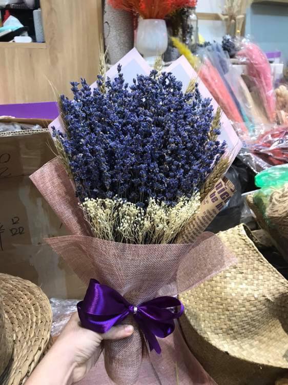 bán hoa lavender 